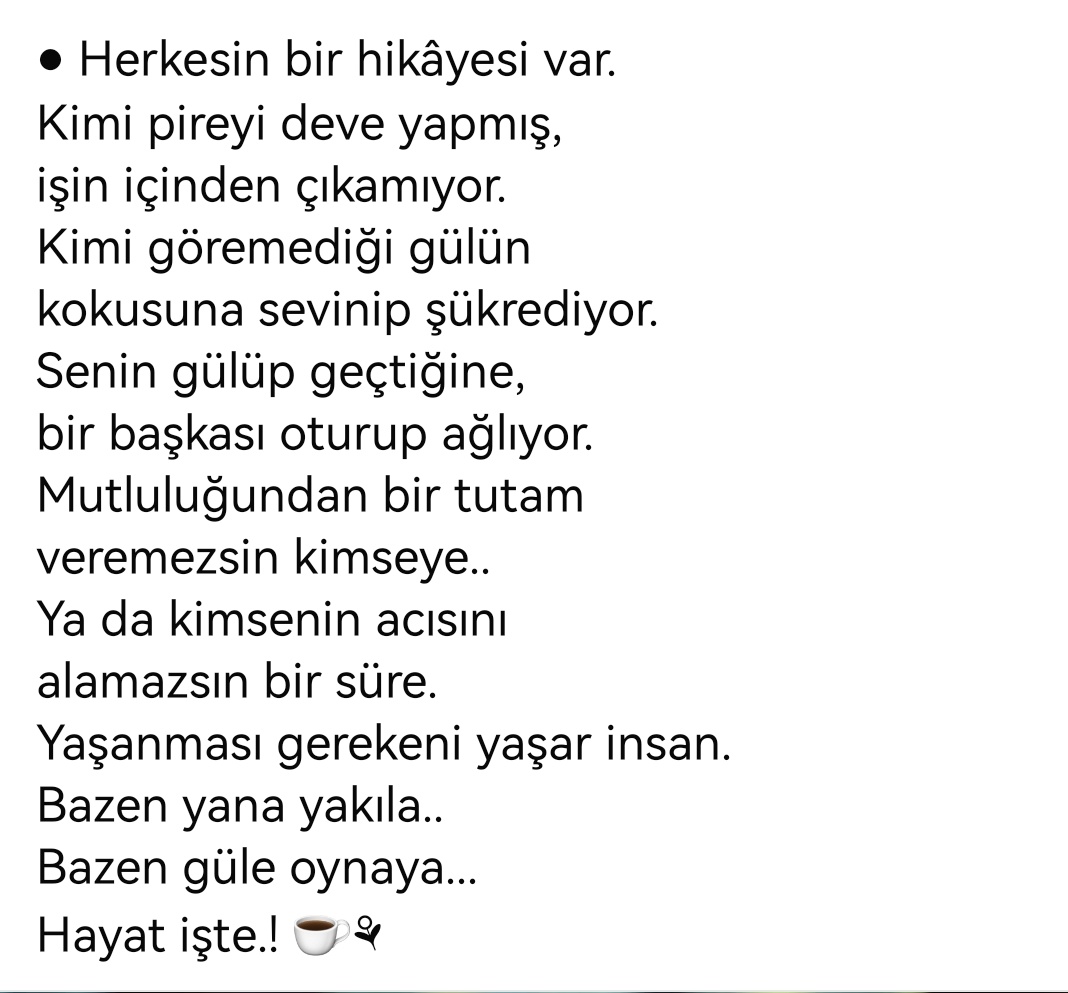 saniyeabikoglu (@saniyeabikoglu) on Twitter photo 