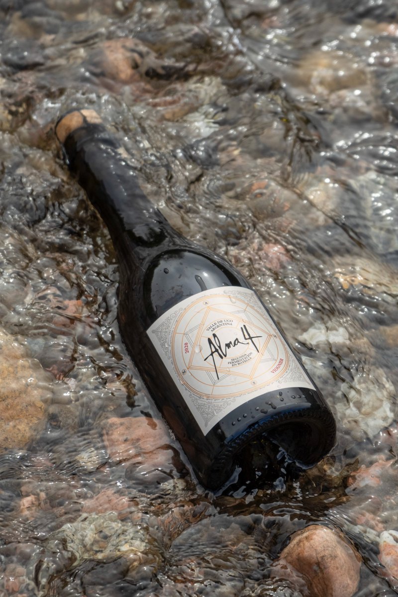 El primer y único espumante de Viognier de Argentina, una innovación que resalta por su frescura y aromas a damasco y jazmín.