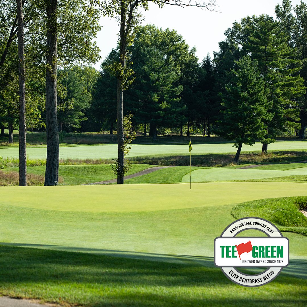 Meet our newest bentgrass blend: Elite Blend. 

By combining the strengths of Crystal BlueLinks &amp; Pure Select, Elite is engineered for superior resilience, offering outstanding disease resistance, adaptability to sun, shade, and salt, and rapid recovery.
bit.ly/4fIKqTd