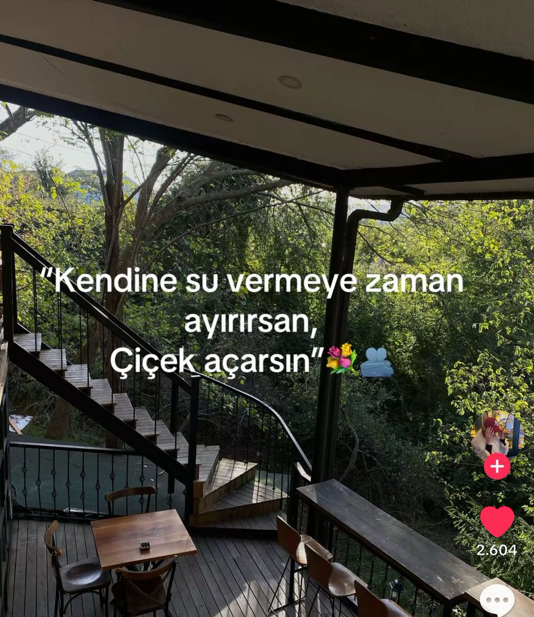 Çiçek açarsın