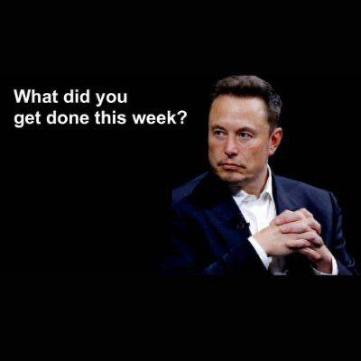 MPtrading (schizo arc) tweet media