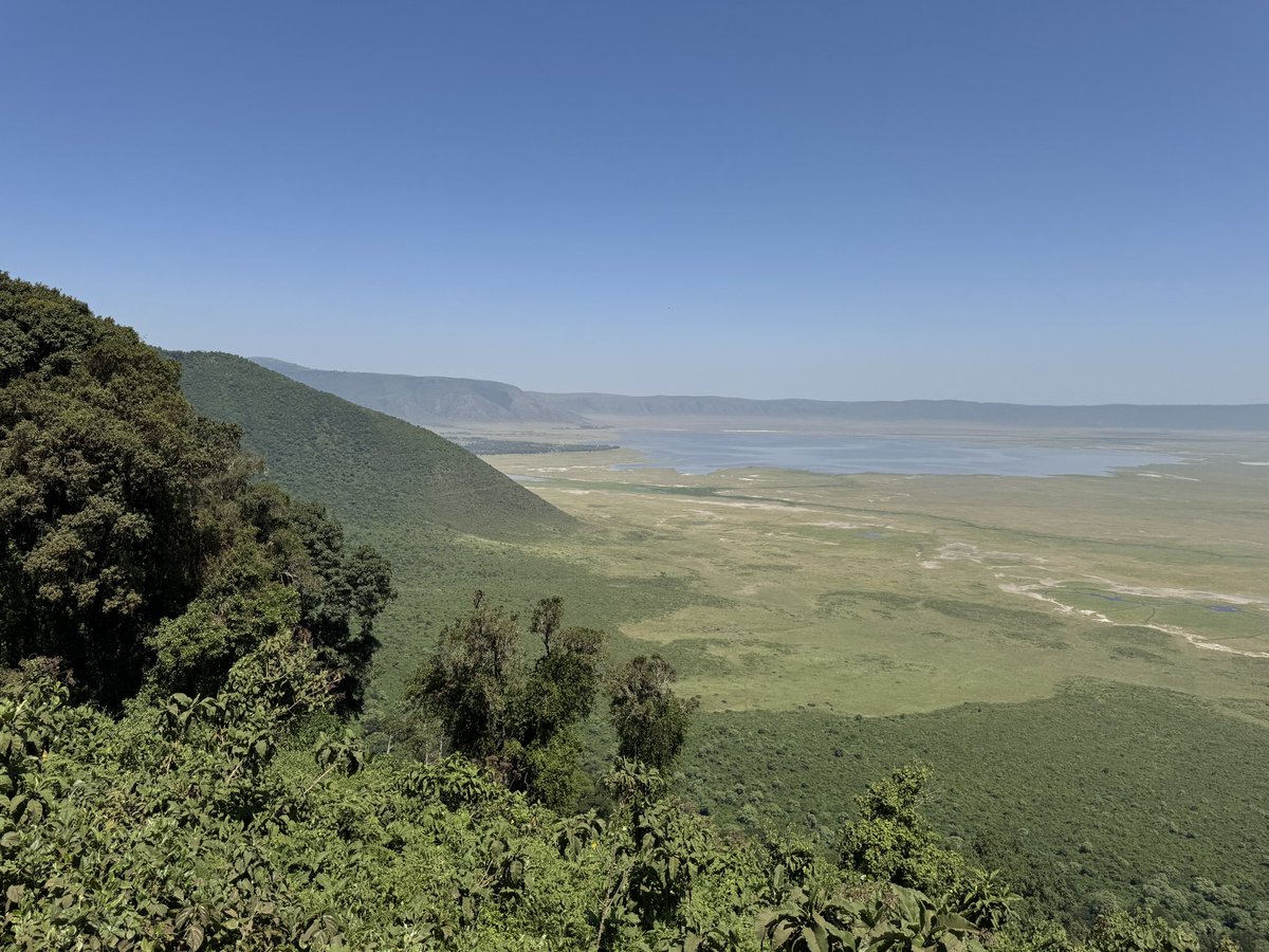 JJacky123's tweet photo. Ngorongoro Crater, the world’s largest intact volcanic caldera, is a haven for wildlife and stunning landscapes. Witness the Big Five #NgorongoroCrater #Tanzania #Safari #Wildlife #NatureLovers https://t.co/NWBi1xsvcV