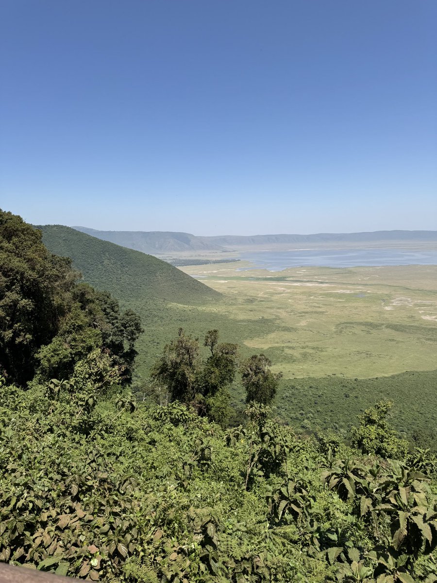 JJacky123's tweet photo. Ngorongoro Crater, the world’s largest intact volcanic caldera, is a haven for wildlife and stunning landscapes. Witness the Big Five #NgorongoroCrater #Tanzania #Safari #Wildlife #NatureLovers https://t.co/NWBi1xsvcV