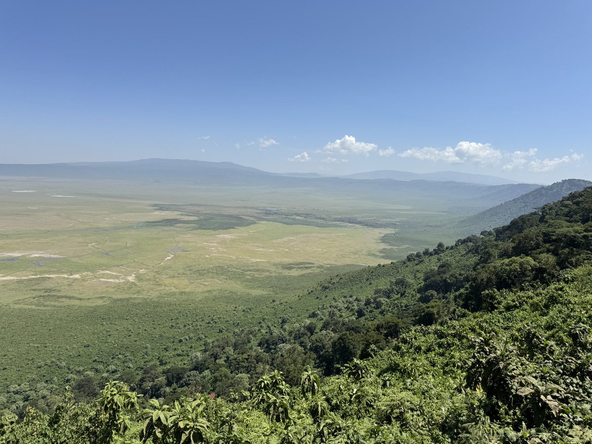 JJacky123's tweet photo. Ngorongoro Crater, the world’s largest intact volcanic caldera, is a haven for wildlife and stunning landscapes. Witness the Big Five #NgorongoroCrater #Tanzania #Safari #Wildlife #NatureLovers https://t.co/NWBi1xsvcV