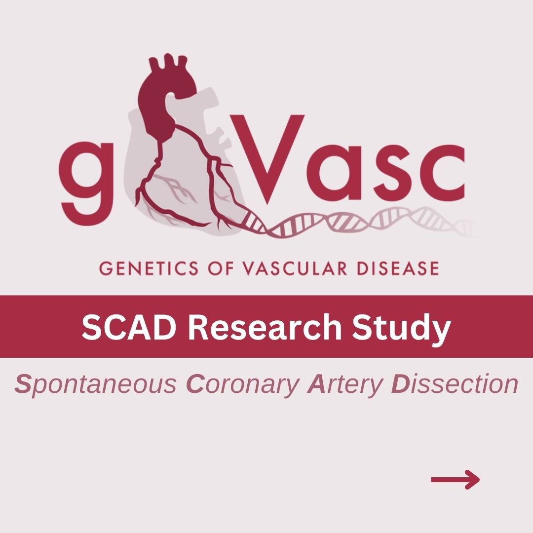 gVasc Study tweet media