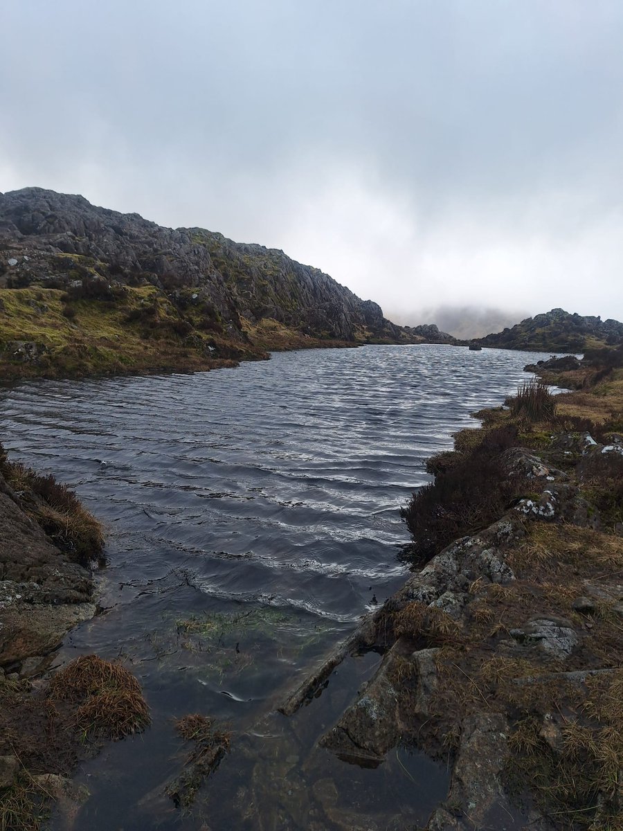 JamesBurrows001's tweet image. #nhs1000miles had an enjoyable walk on Saturday with son. First climb this year in Lake District.