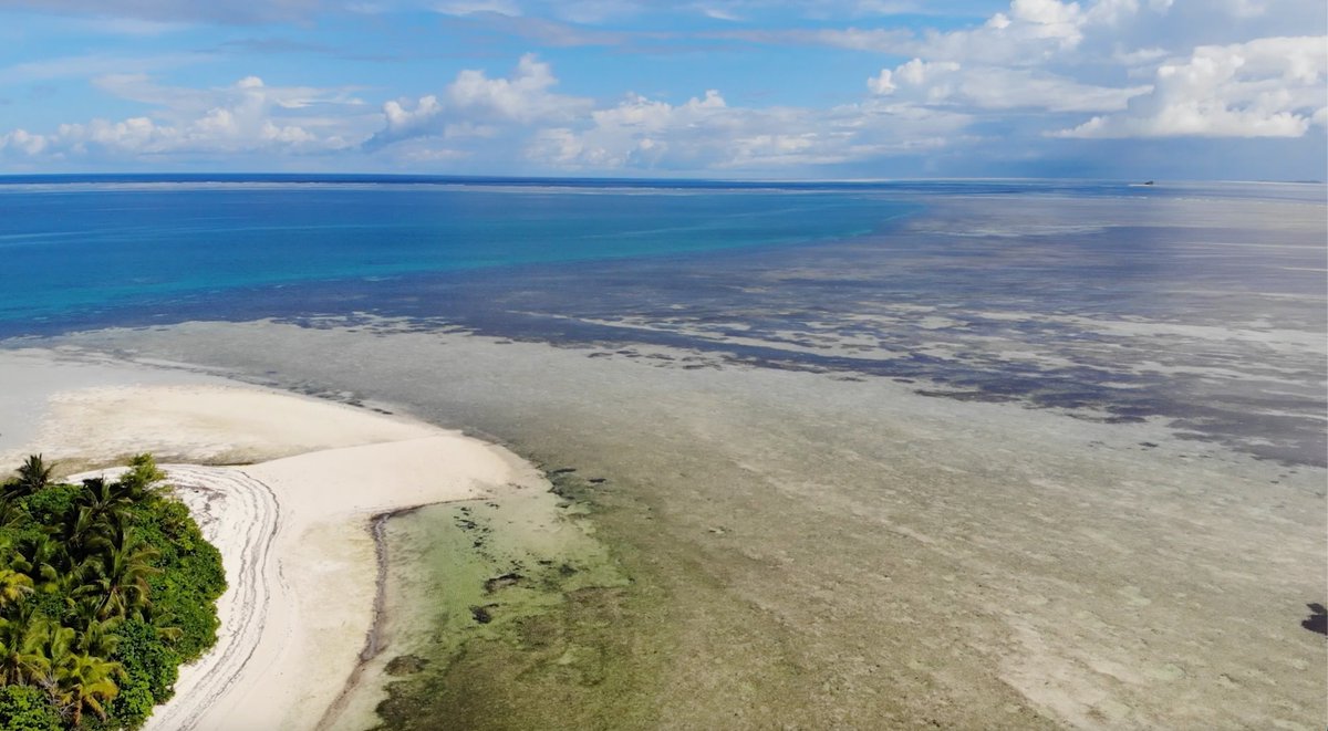 Did you know that shallow coastal waters are crucial for marine life, local economies, and global seafood supplies? 🌊🐠

A new study led by #USF researchers highlights the urgent need to protect these ecosystems, also known as fish flats.

🔗: ow.ly/vU4b50V5EKT