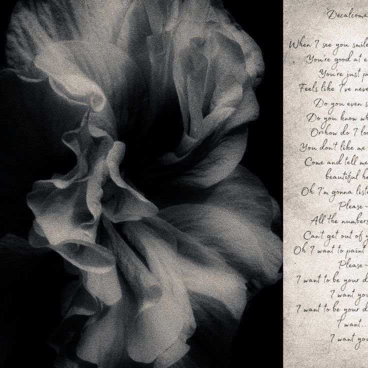 ᅠ ᅠ ᅠ ᅠ ᅠ ✺ ᅠ ᅠ ᅠ ᅠ ᅠ ᅠ ᅠ𝒜𝐑𝐀𝐓𝐀。 #⁰⁰⁵ tweet media