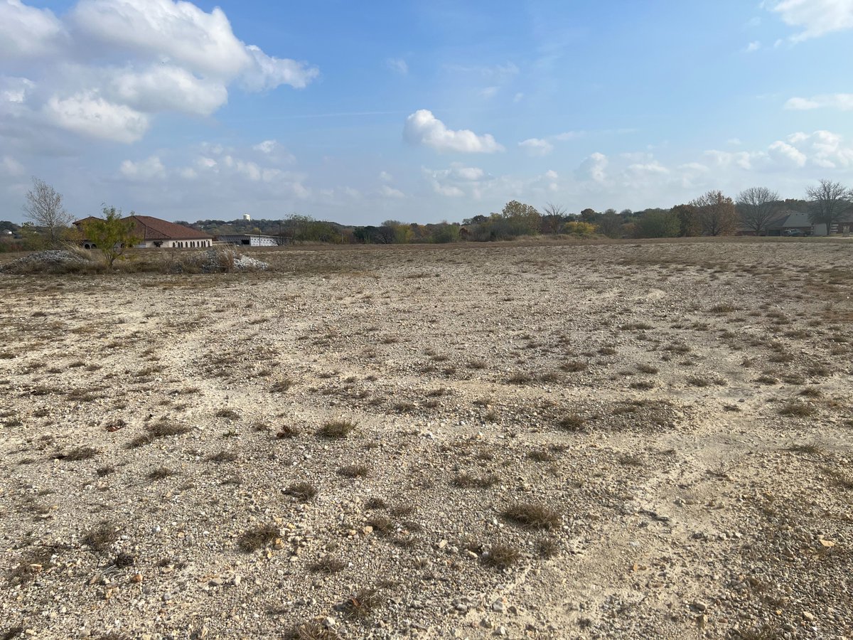 LoneStarCares tweet media