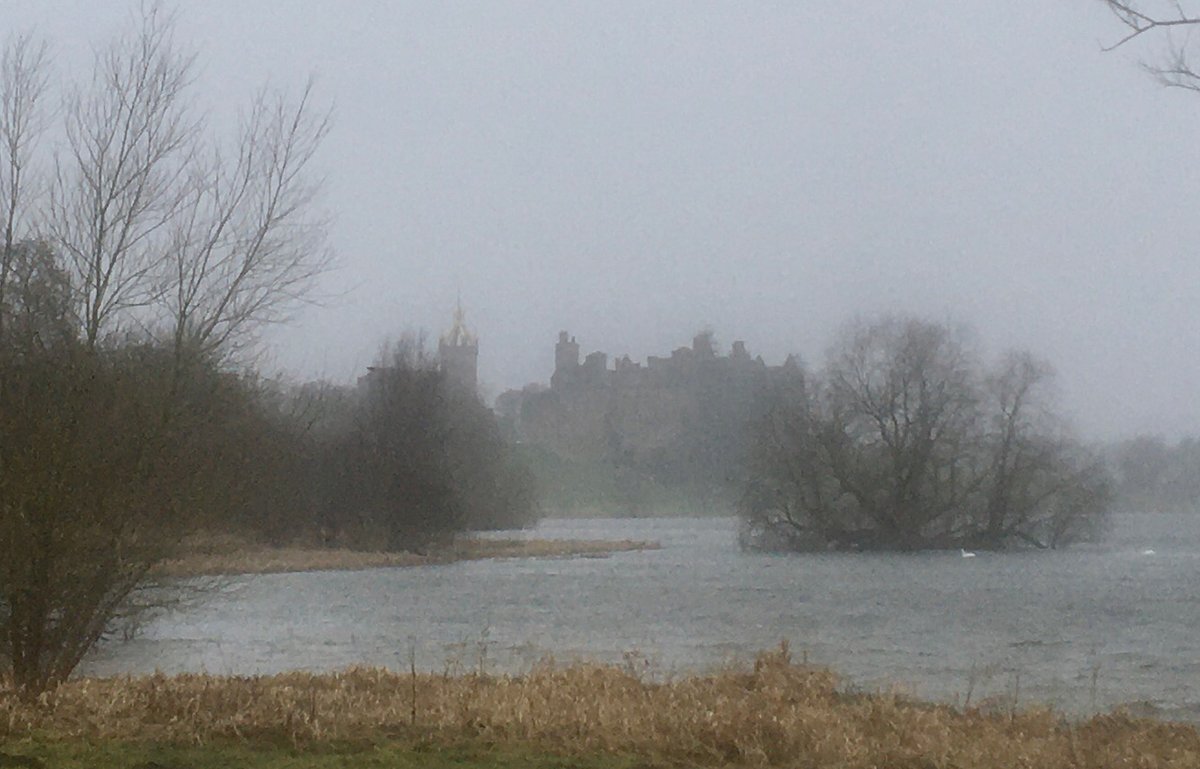 Charles Miller tweet media