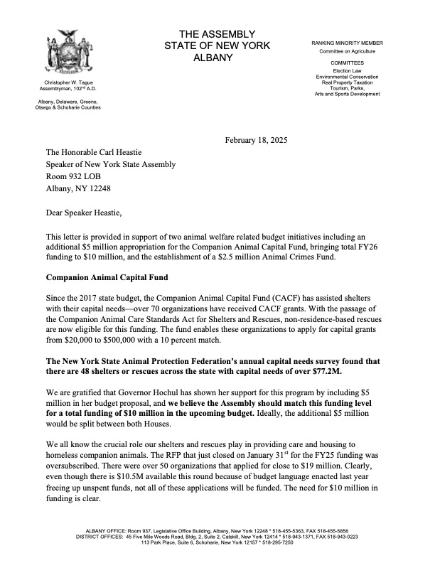 Daniel Norber tweet media