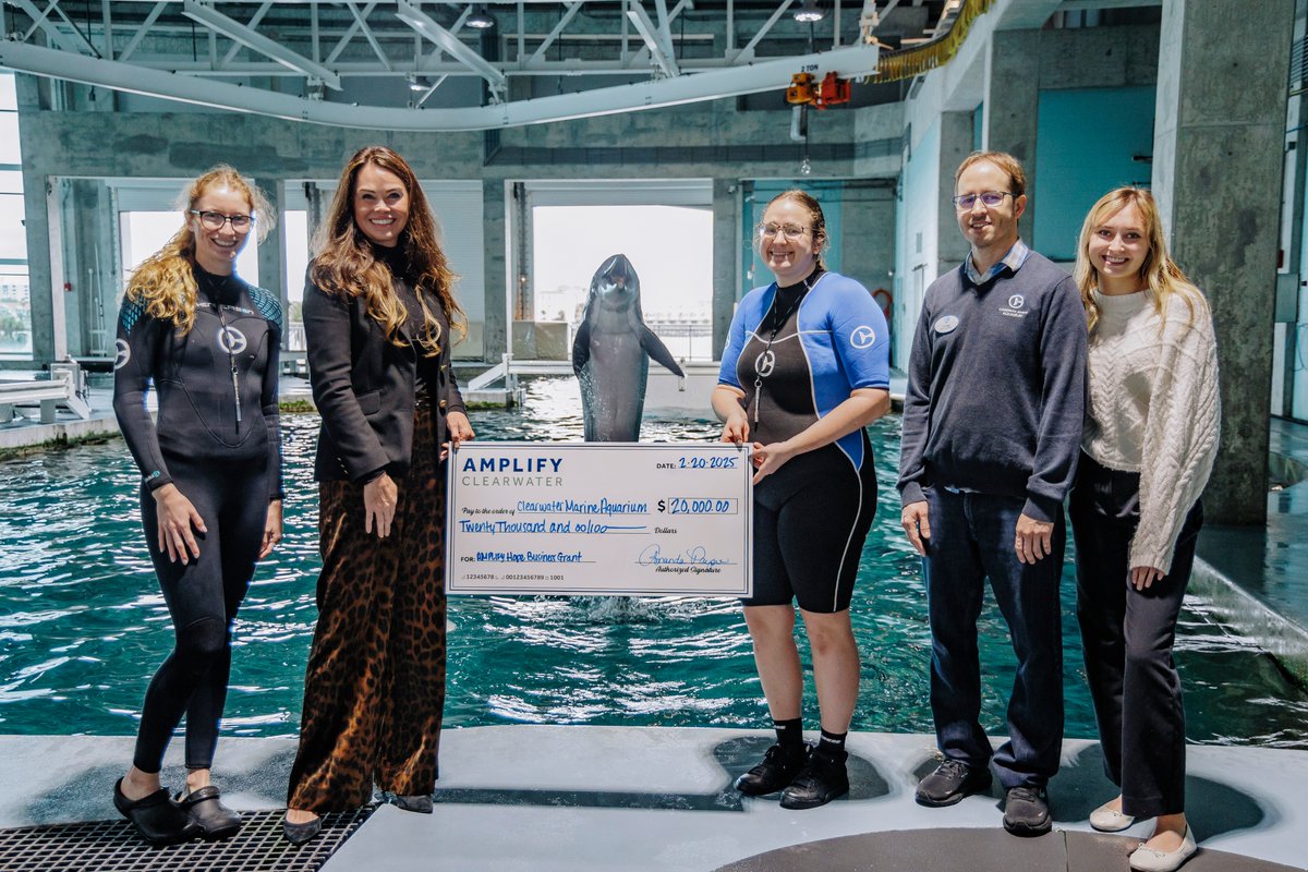 The AMPLIFY Clearwater Foundation was honored to award an AMPLIFY Hope Business Grant to Clearwater Marine Aquarium to support their recovery after sustaining damage from the recent hurricanes.