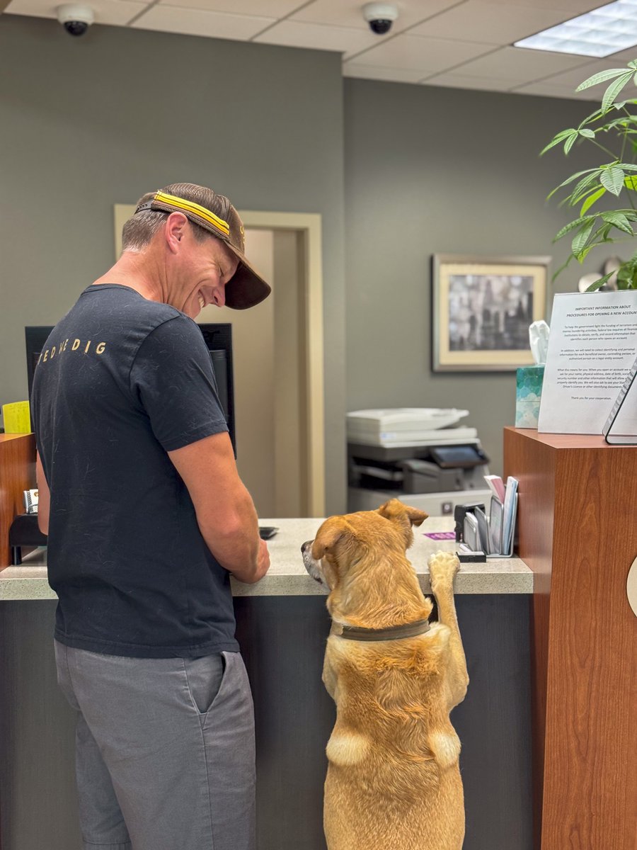 🐶💰 Checking on my account balance… and maybe some treats too?

Looks like we’ve got a new four-legged customer at the counter! 🏦🐾 We’re always happy to assist—whether it’s deposits, withdrawals, or belly rubs.

#PawsitiveCustomerService #BankCornerstone