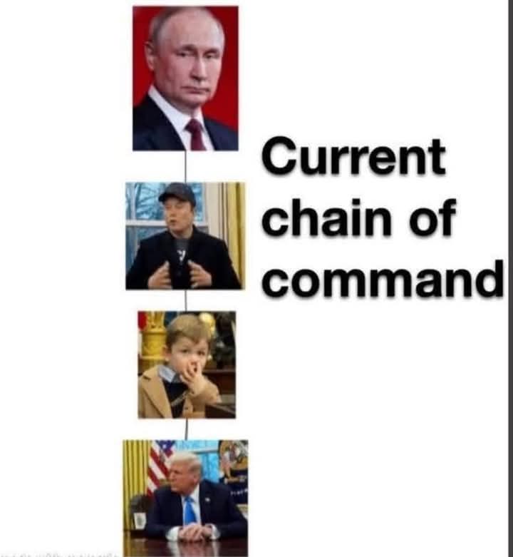 These Violent Delights🐀 tweet media