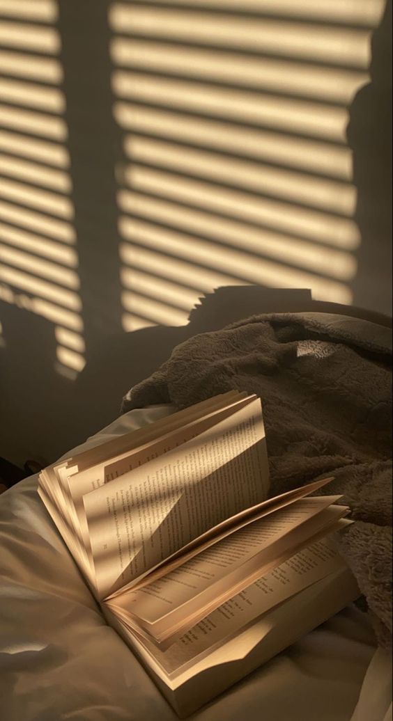 Cams 🌻 tweet media