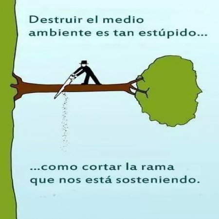 Destruir el medio ambiente es tan estúpido...