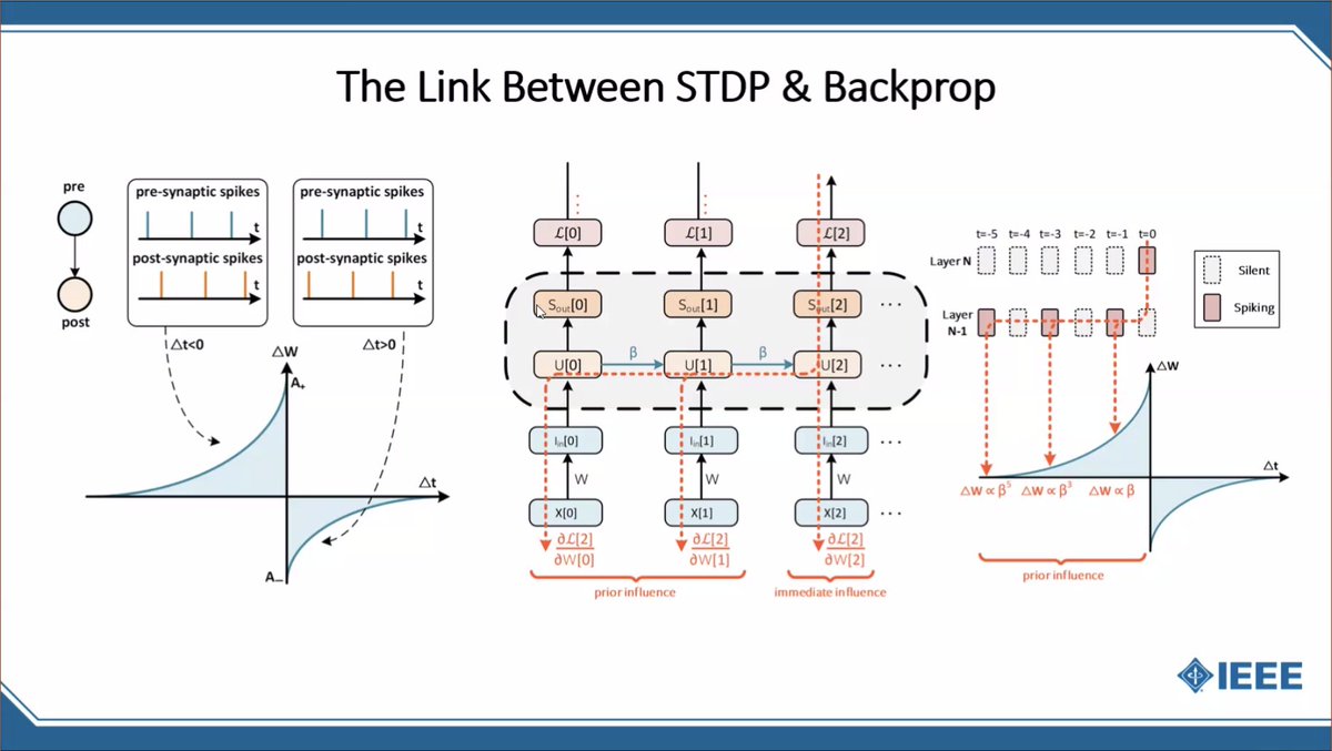 ProceedingsIEEE's tweet image. According to @ucsc&apos;s Jason K. Eshraghian says there&apos;s no need to keep pitting #STDP against backprop; instead, he says there&apos;s a link between the two and lots of room to explore the interplay between them. #DeepLearning #BestPaperAward