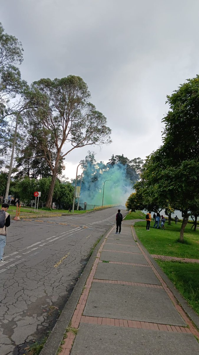 Revelaciones de género en la Universidad Nacional de Colombia