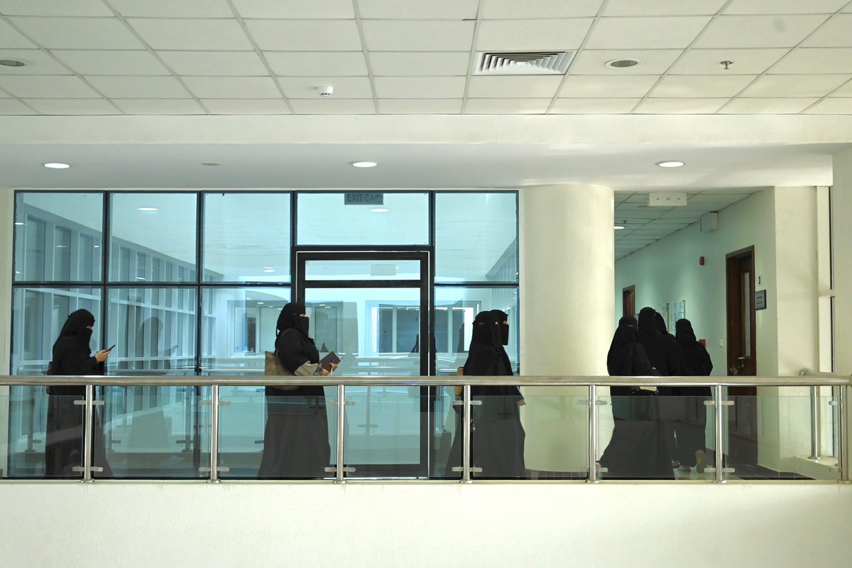 برنامج تَوجِيهّي tweet media