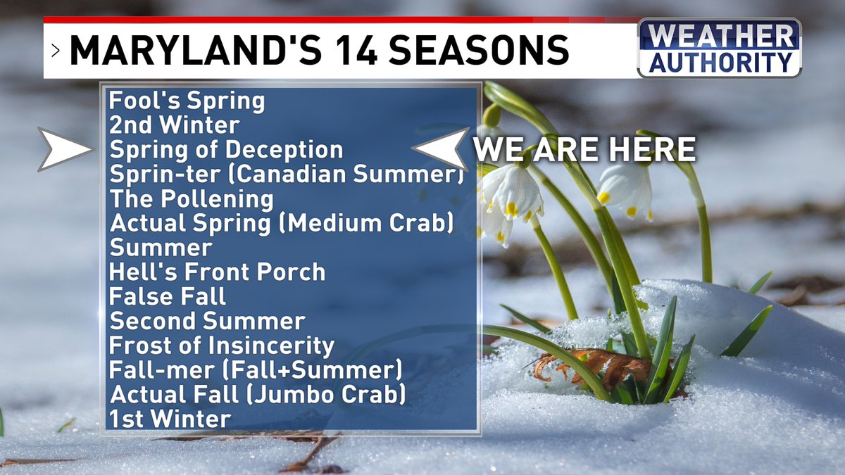 GerardJebaily's tweet photo. Is SPRING here?!?
...Not quite. I wouldn't bet on the warmer temps staying. Another couple chilly blasts of 30s &amp; 40s are likely the first week of March! This means we still have "Sprin-ter" (Spring+Winter) to go. We are not 100% out of the woods for more snow either!
#mdwX https://t.co/z9ylQjv6oG