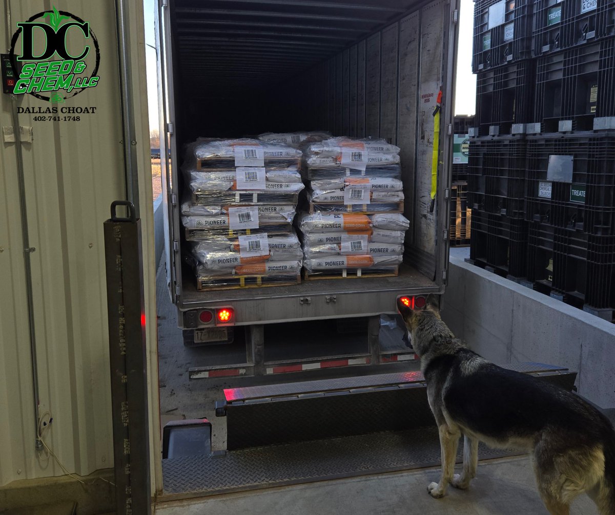 ChoatDallas's tweet photo. Zoey's keeping a close watch as we are unloading seed! We are excited to get this product in your fields. Here's to another season of high yields and profits!

@PioneerSeeds #PlantPioneer #PioneerSeed #BooneCounty #Plant25 https://t.co/CRuHfJkchl