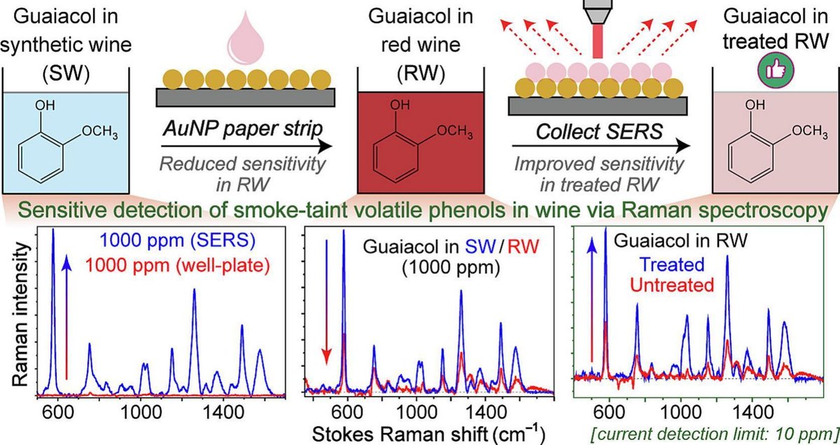 Congratulations  to A Sobotka, T Krueger, J Solaris, C Chen, Y Feng, S Mayer, YP Qian, C  Fang &amp; MC Qian on their most recent publication in Food Chemistry

sciencedirect.com/science/articl…