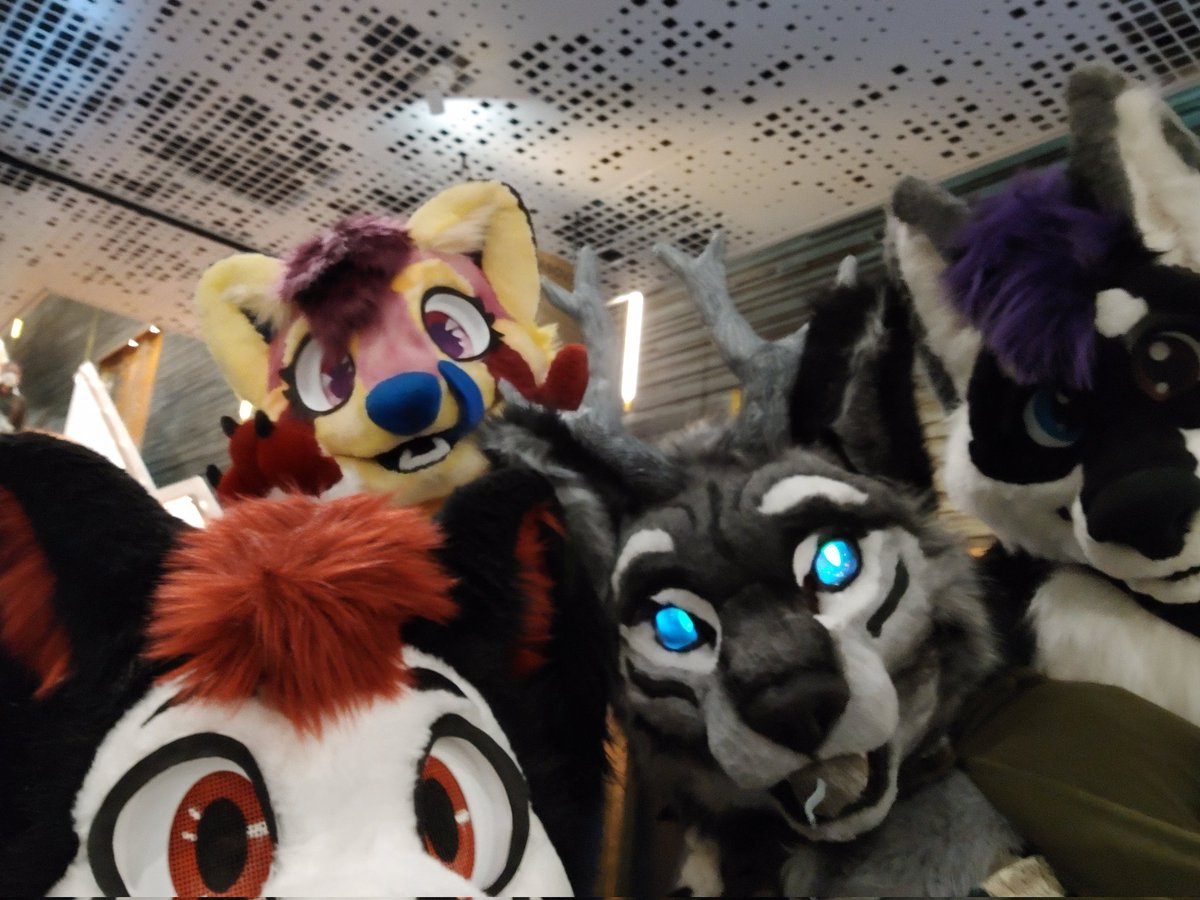 Jack the Husky tweet media