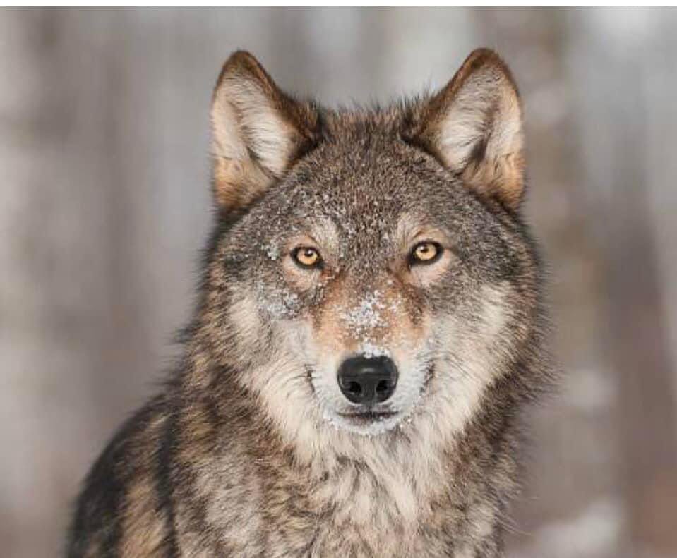 Siyaset insan biriktirme sanatıdır. 
Yıkıp dökmek ve liyakatsizlik hiç değildir...

Vefa İstanbul'da bir semt ismi asla değildir.

Yol yürümekten onur duyduğum dostlarıma selam olsun.