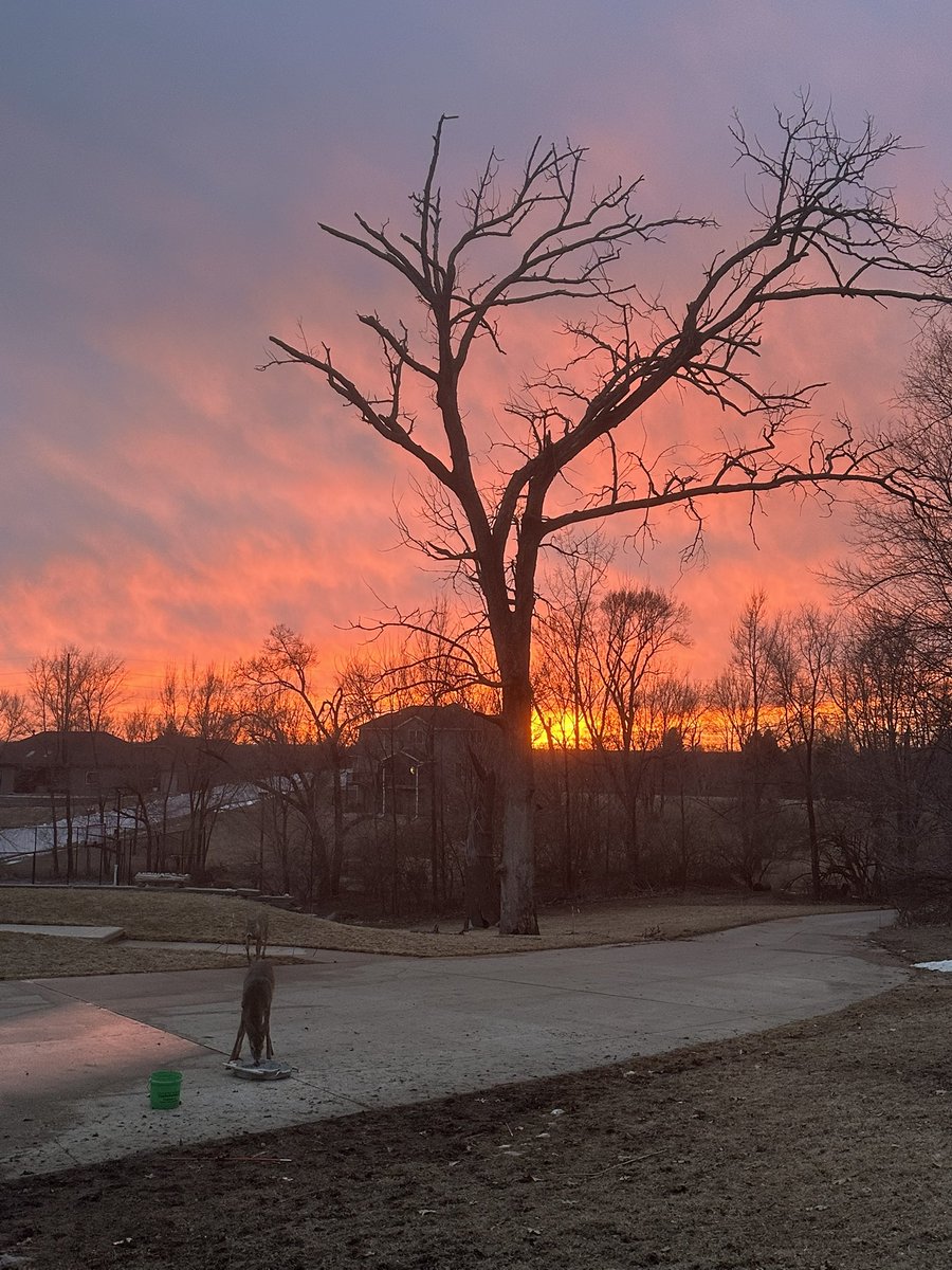 brad stovie tweet media