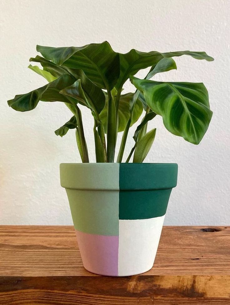 Brighten up your plants with DIY Painted Plant Pots! Use acrylic paint and sealant to create beautiful designs on plain pots.  #dreamyDIYs #plantpots #weekendVibes