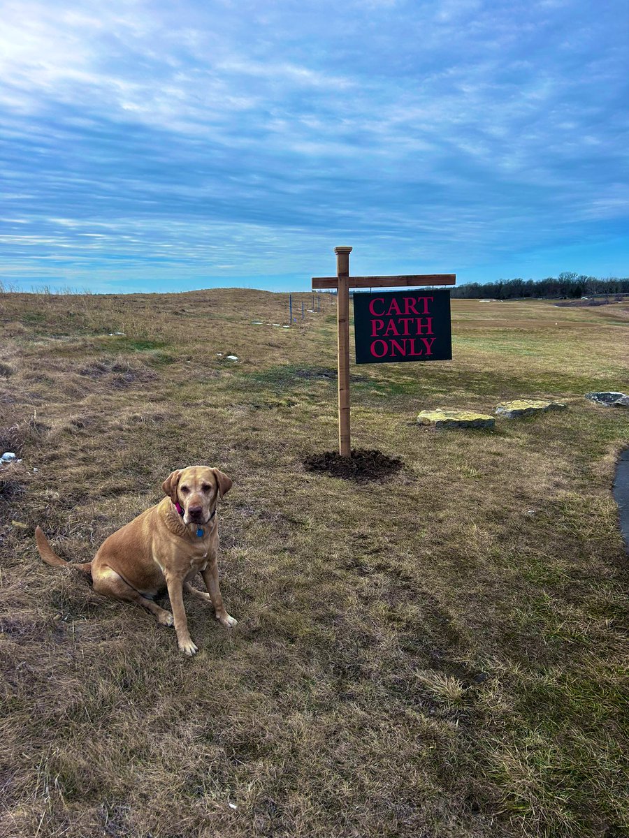Harper on high alert making sure all tires stay on the paths today.