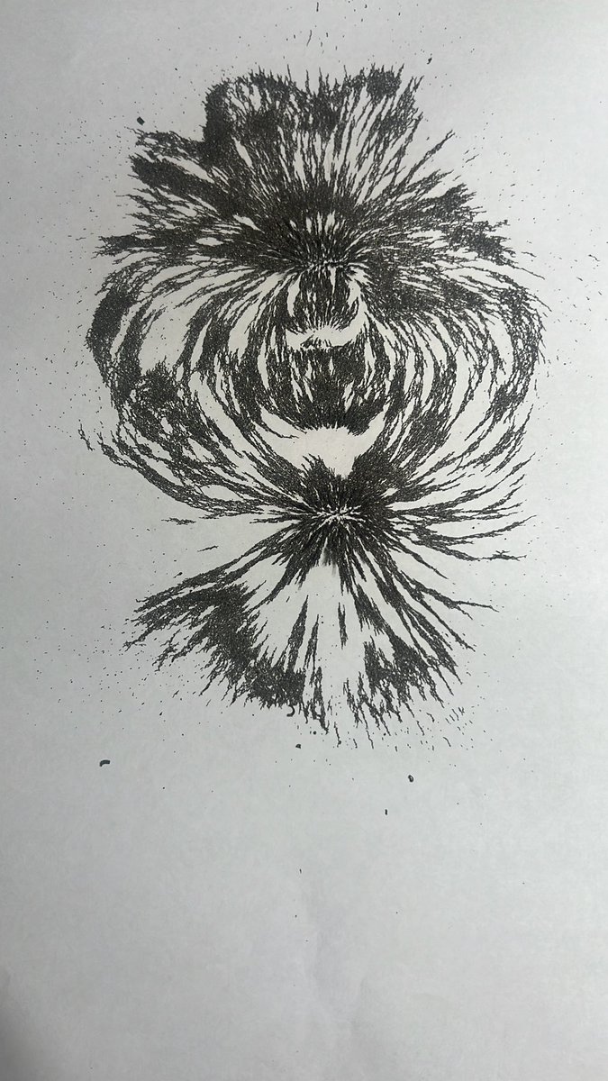 Así se ve el campo electromagnético de pequeños imanes, el arte está incluso en las ciencias puras como la física.