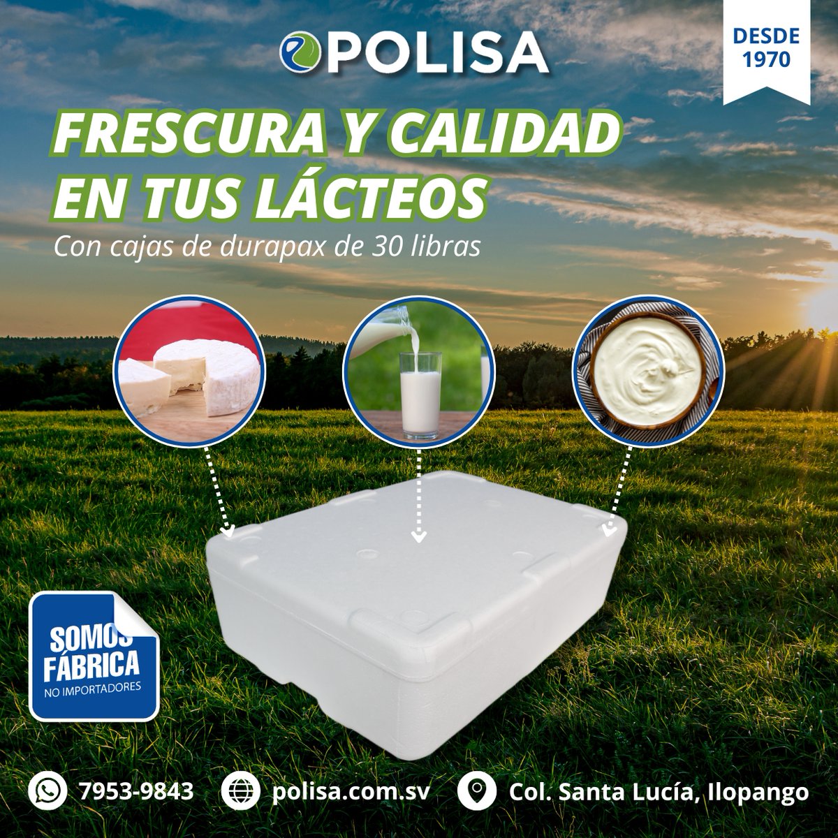 PolisaSV's tweet photo. Los cambios de #Temperatura pueden afectar la frescura y calidad de tus #Productos.

Las cajas de exportación de 30 libras son excelentes para conservar la frescura de los #Lacteos, caja hecha de #Durapax un material resistente y duradero para viajes largos. https://t.co/Q26OIg9NWv