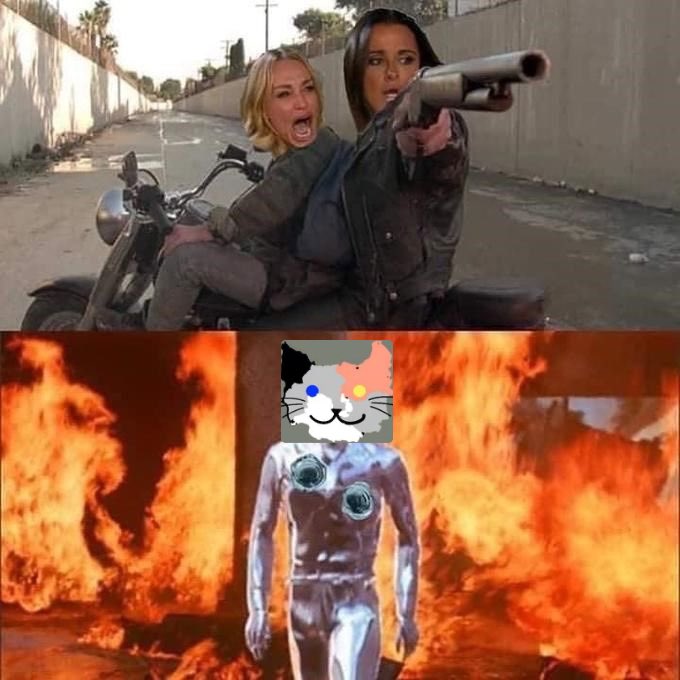 neverlosin tweet media