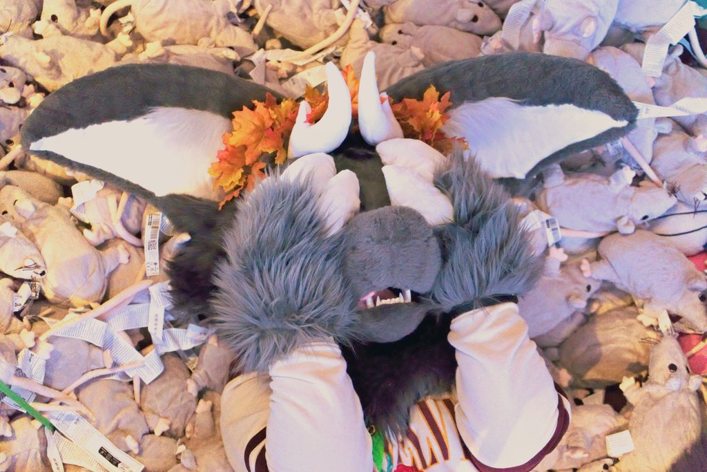 Aquhliax's tweet photo. Crazy? I was crazy once.
They locked me in a room.
A rubber room.
A rubber room with RATS.
And RATS made me crazy.
Crazy? I was crazy once.

🪡 @KitzNest
📷 @ReynardFoxy

#NFC2025 #NordicFuzzCon https://t.co/uCGnnmiSFW
