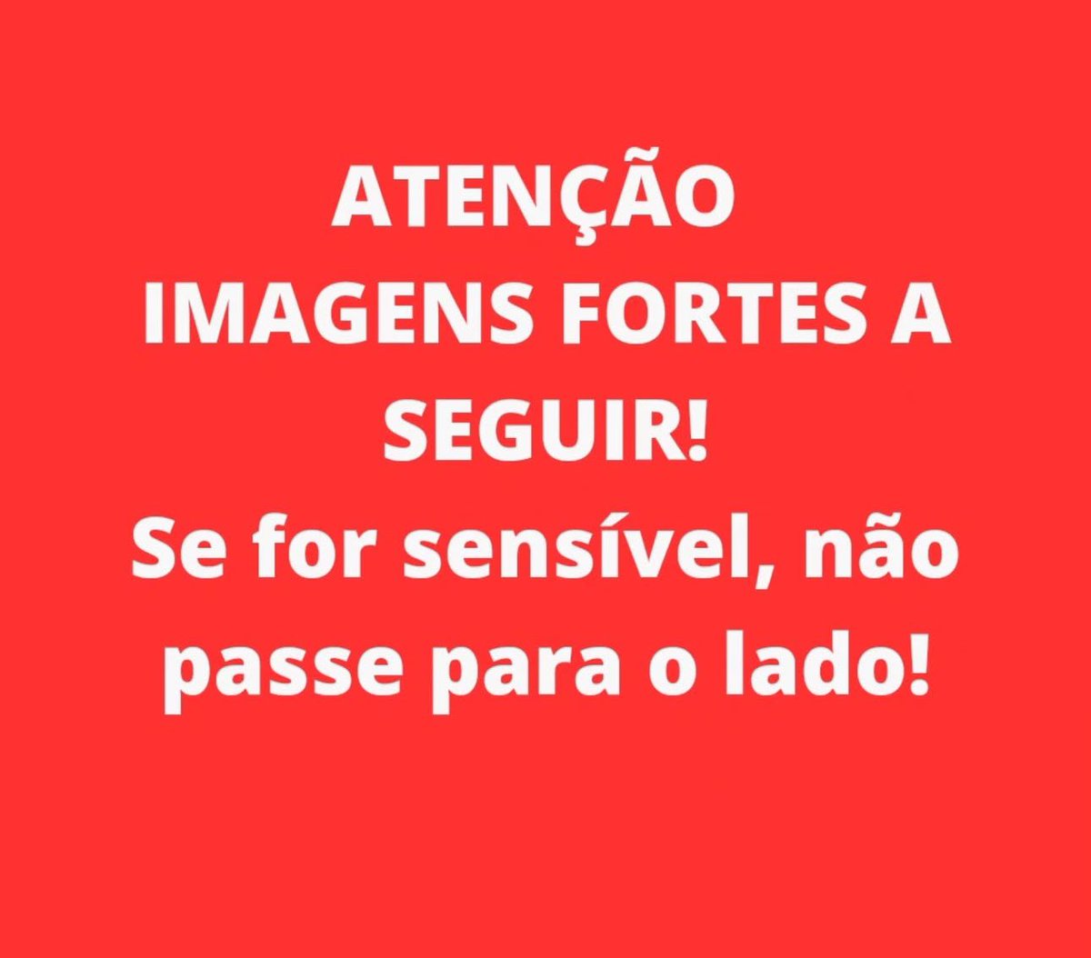 Opa Bichos tweet media