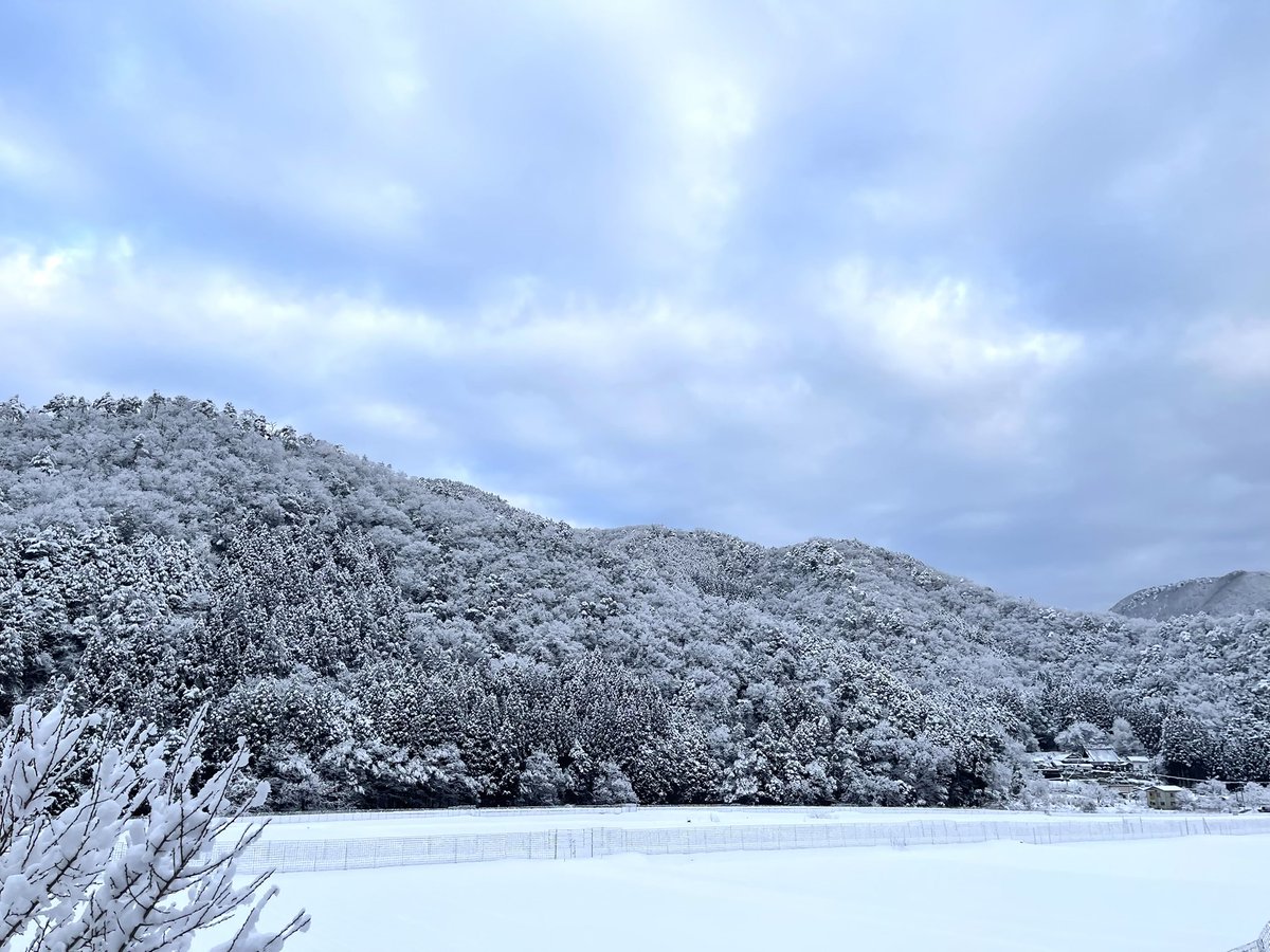 おはようございます。
ようけ積もりました。

#田舎の景色　
#イマソラ 
#早朝の風景　
#田舎の景色が好き　
#早朝の空気が好き　
#朝の山　
#養父市の出版社
#白兎舎　
#ひとり出版社