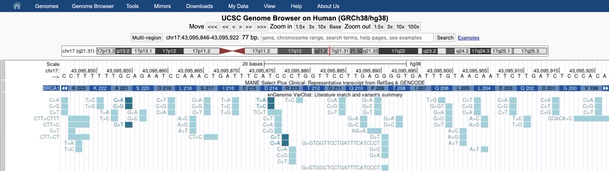 We are excited to announce the release of the <a href="/enGenome_srl/">enGenome</a> VarChat track for hg38 and hg19. This track uses AI to search papers for variants, providing information such as its gene, HGVS nomenclature, and dbSNP rsID. Learn more at genome.ucsc.edu/goldenPath/new….