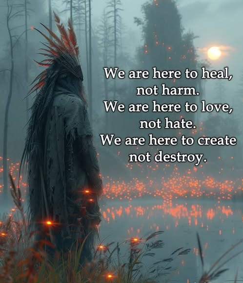 AmericanIndian8's tweet image. #INDIGENOUS #TAIRP