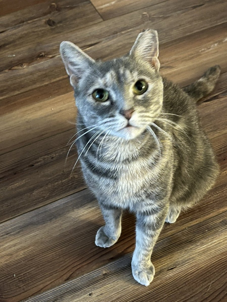 Always and Forever┃A OTH Podcast tweet media