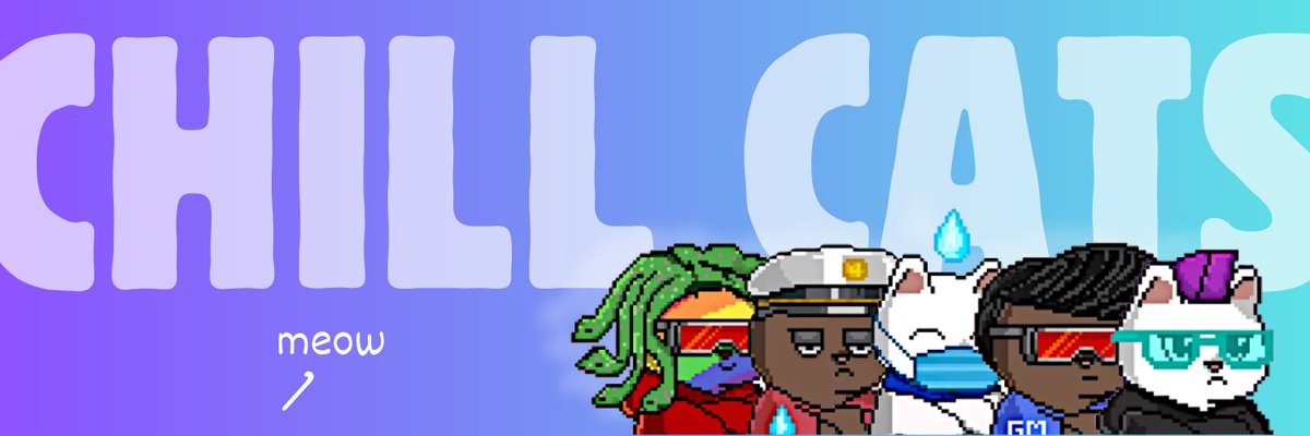 Bullet Bro tweet media