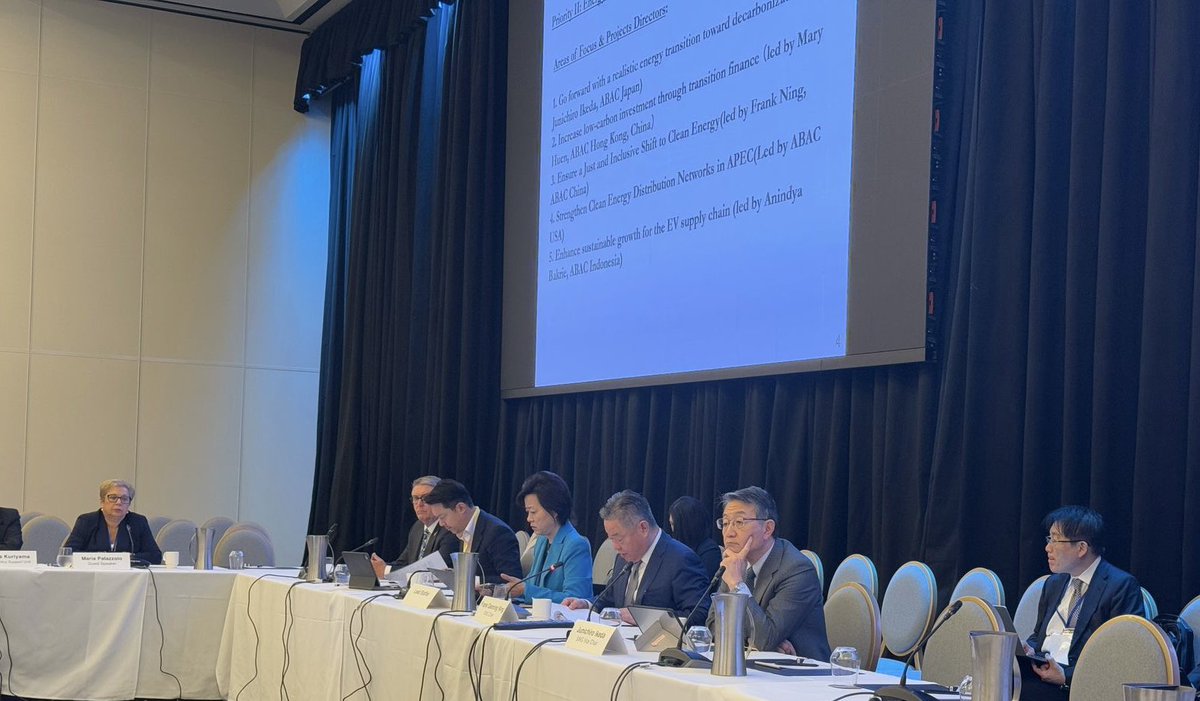 APECBiz's tweet image. Sustainability WG Chair Frank Gaoning Ning of ABAC China, leads discussions of the Work Plan for 2025. Focus will be on developing recommendations of policies and actions to achieve green growth and low carbon economy, energy security and energy transition, and food security.