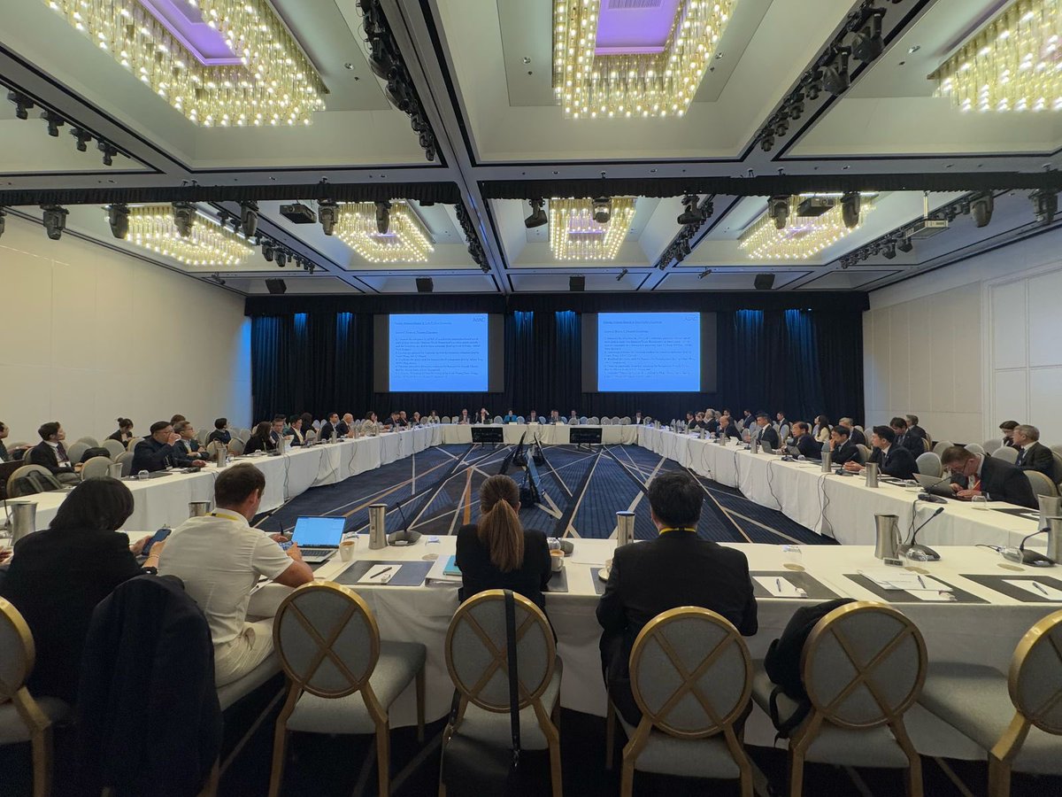APECBiz's tweet image. Sustainability WG Chair Frank Gaoning Ning of ABAC China, leads discussions of the Work Plan for 2025. Focus will be on developing recommendations of policies and actions to achieve green growth and low carbon economy, energy security and energy transition, and food security.