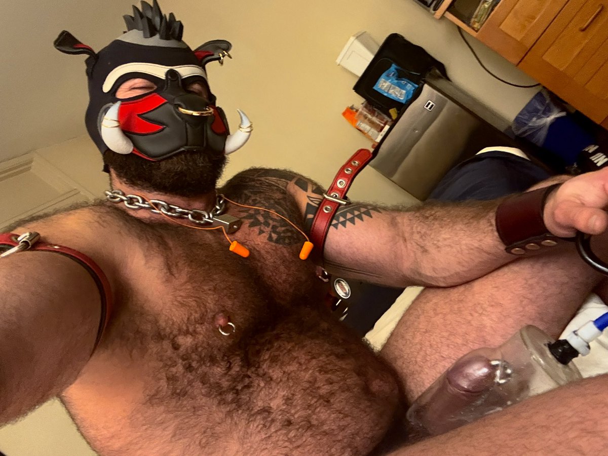 MACHO DOG tweet media