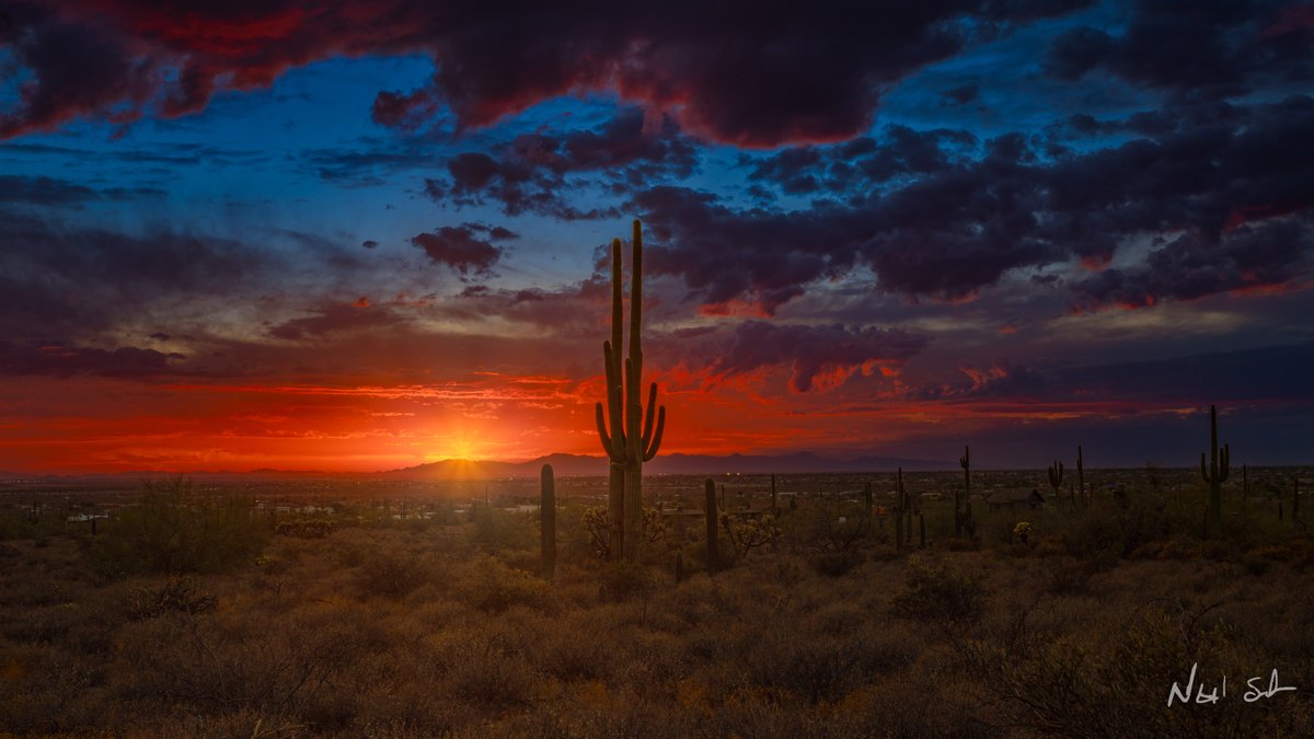 Oh hi X. It's been a long time but getting tired of the Instagram treadmill. #arizona #nikonusa #az