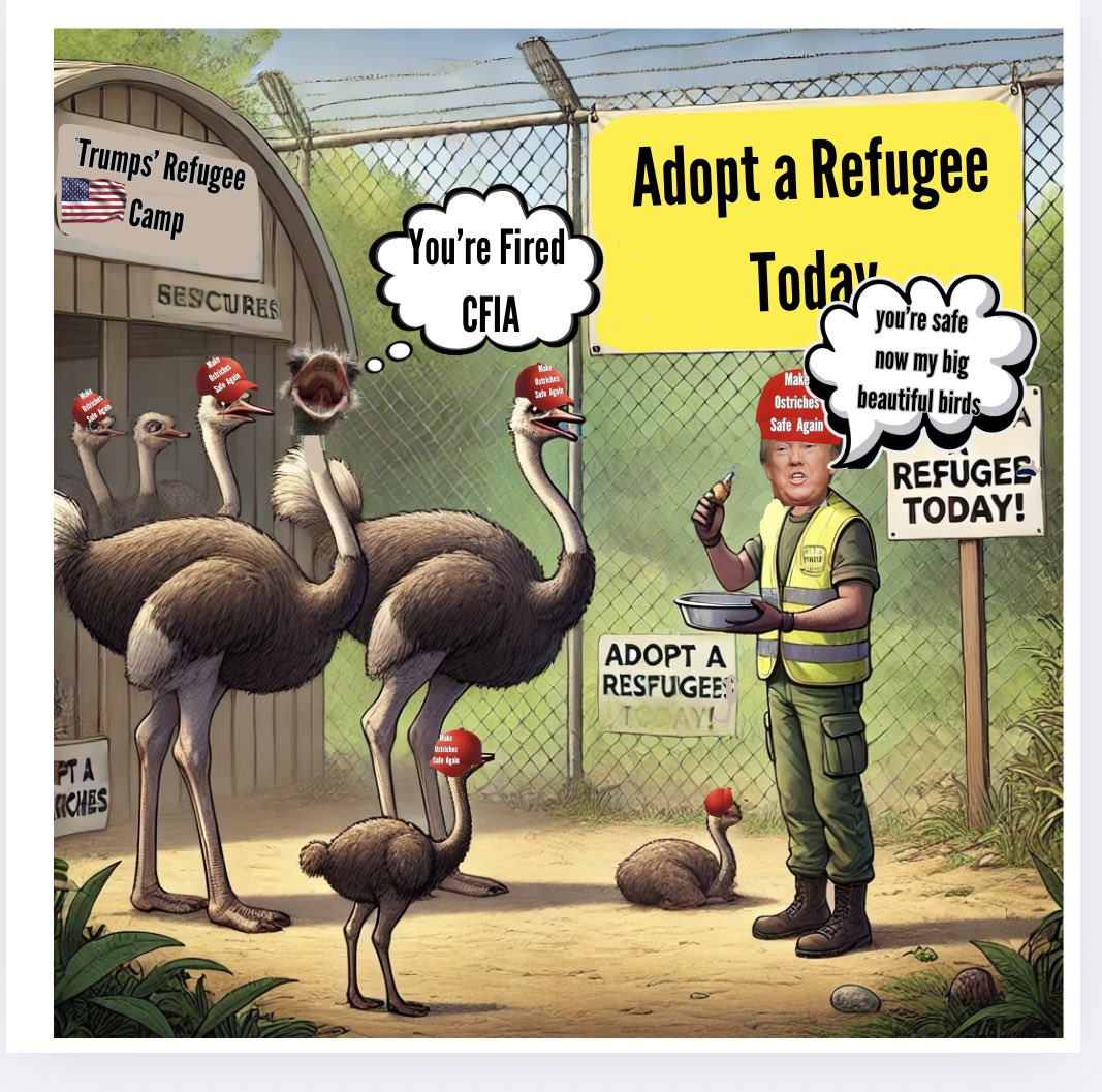 ‼️ALERT‼️🔥BECAUSE THEY WILL DISRUPT the BIG PHARMA BUSINESS MODEL BY NATURALLY IMPROVING HUMANITY’S IMMUNE Health WITHOUT the DEVASTATING HARMS of Pharma, 400 Ostriches ARE SLATED FOR EXTERMINATION🔥
The GAME CHANGING NATURE OF OSTRICH EGG ANTIBODIES is MASSIVE THREAT TO Pharma