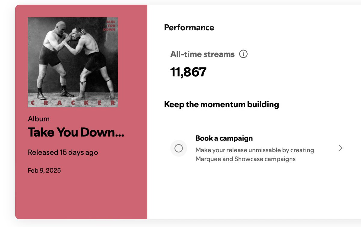 Here is the second.  This one is a little harder to track down as it doesn't show in US Spotify, But I grabbed the URL from the artist panel.  This is also an unauthorized release that infringes on our trademark.