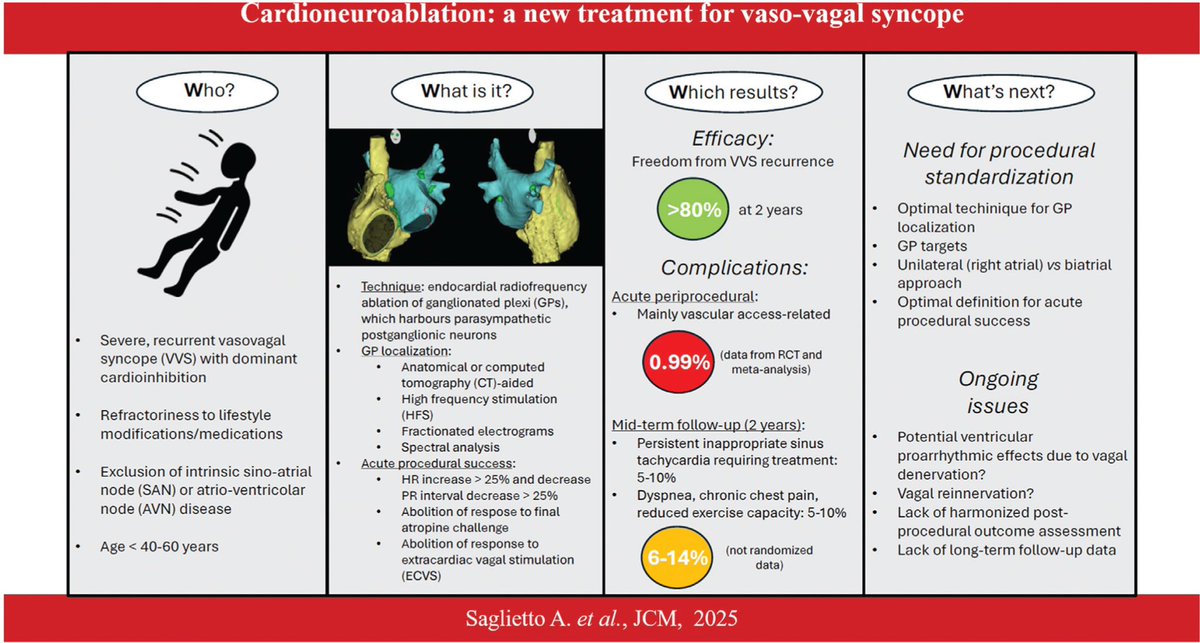 🔥 Excited to share our new #review published in #JournalOfCardiovascularMedicine! We explore Cardioneuroablation (#CNA) as a promising therapy for vasovagal reflex syncope, diving into patient selection, procedural insights, and mid-term effects. #Cardiology #VasovagalSyncope