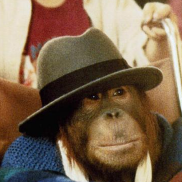 Ooktism! tweet media