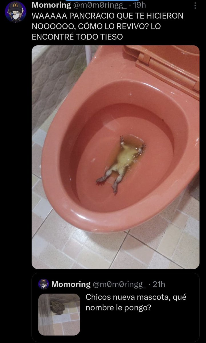 Yo con Mei ( ella es el sapo ).